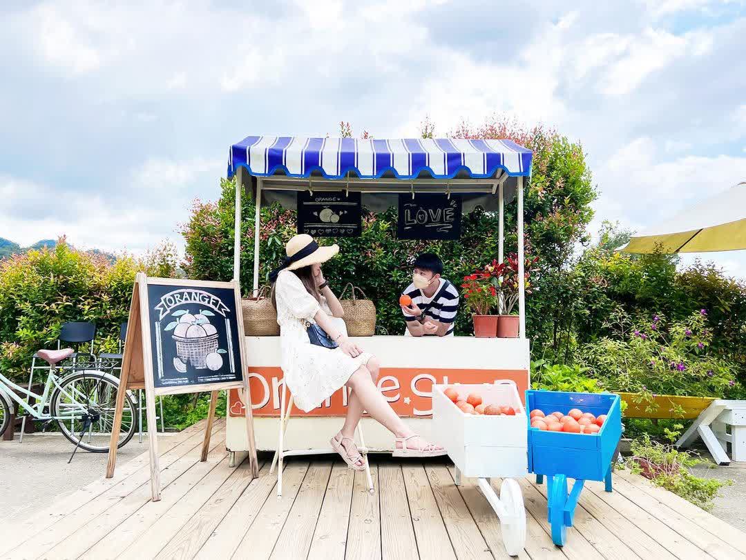 橙香森林 | 去趣 chicTrip