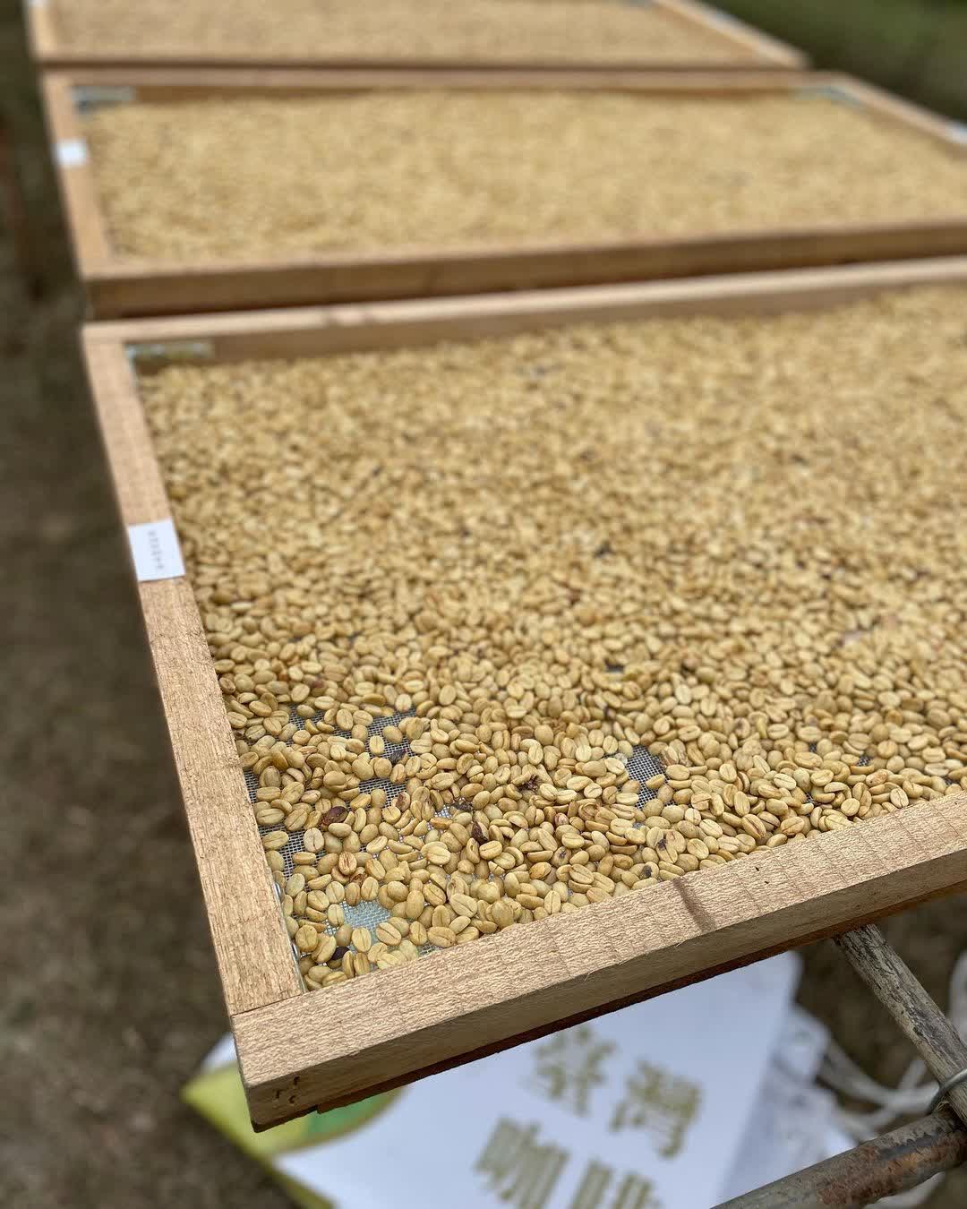 向山行政暨遊客中心 | 去趣 chicTrip