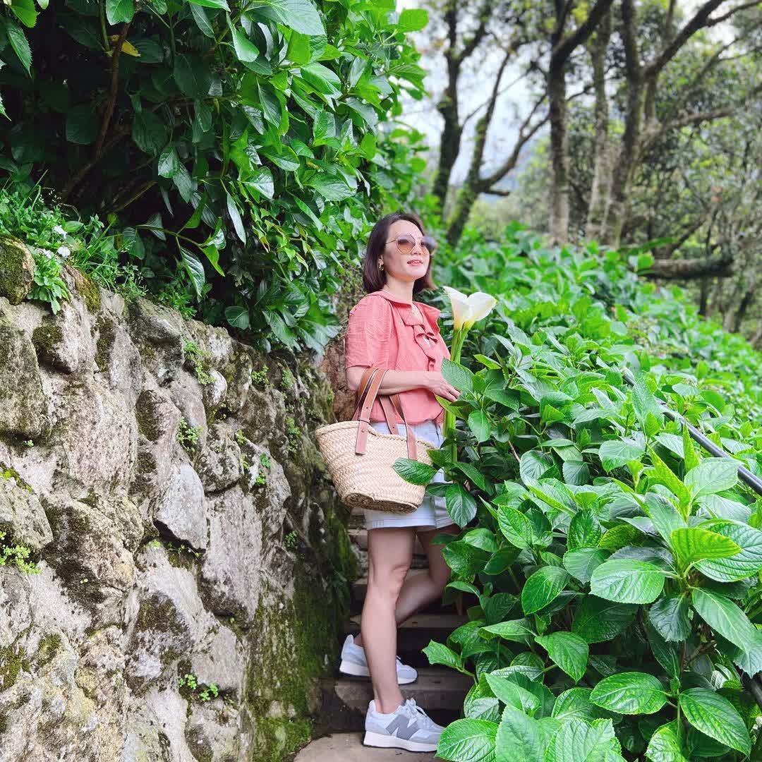 竹子湖 | 去趣 chicTrip