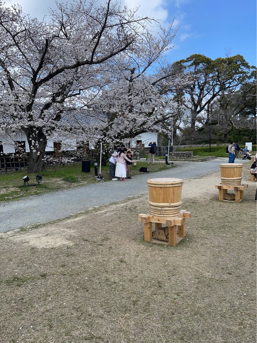 舞鶴公園 | 去趣 chicTrip