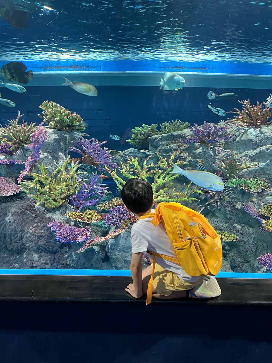 DMM Kariyushi水族館 | 去趣 chicTrip