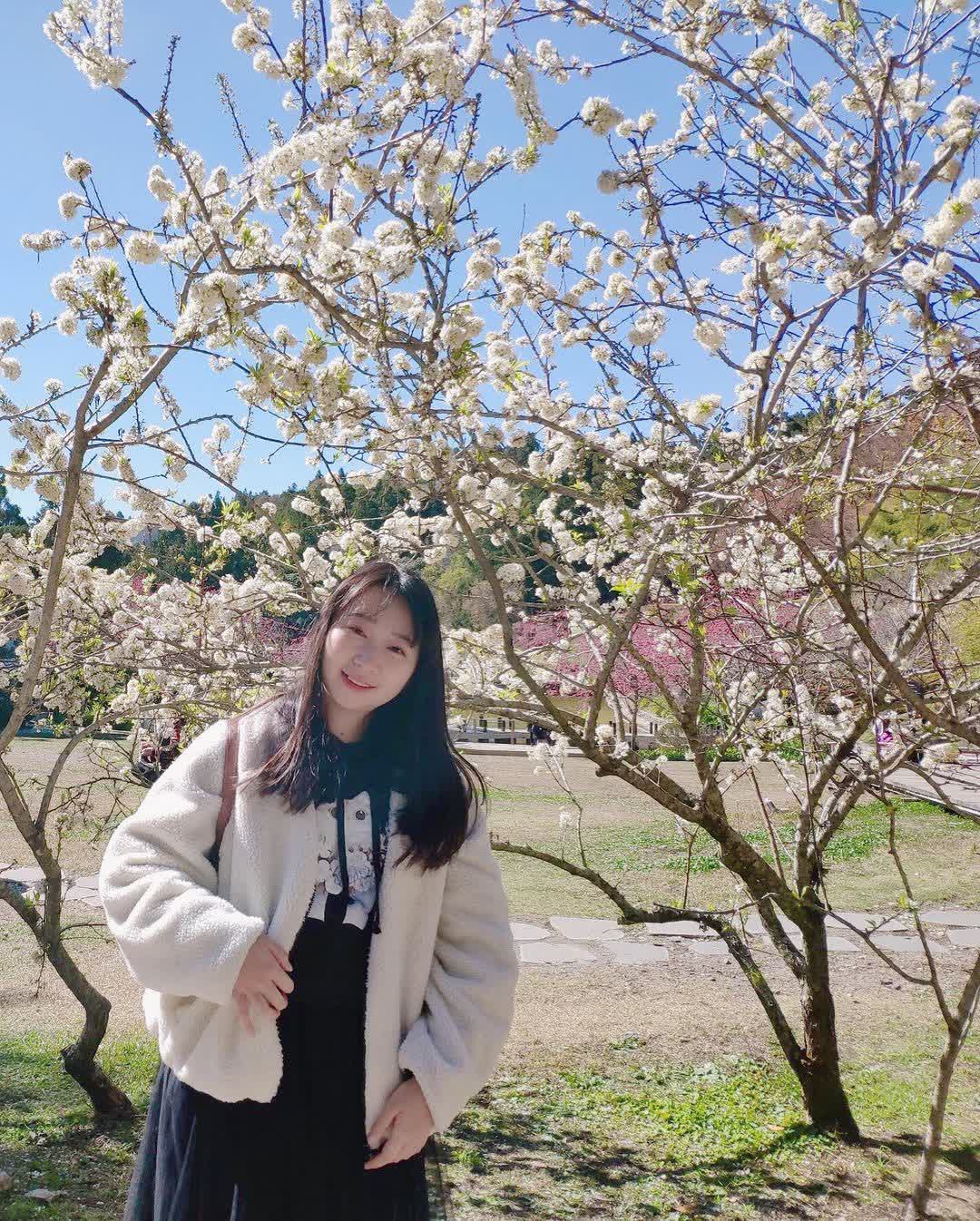 清境農場小瑞士花園 | 去趣 chicTrip