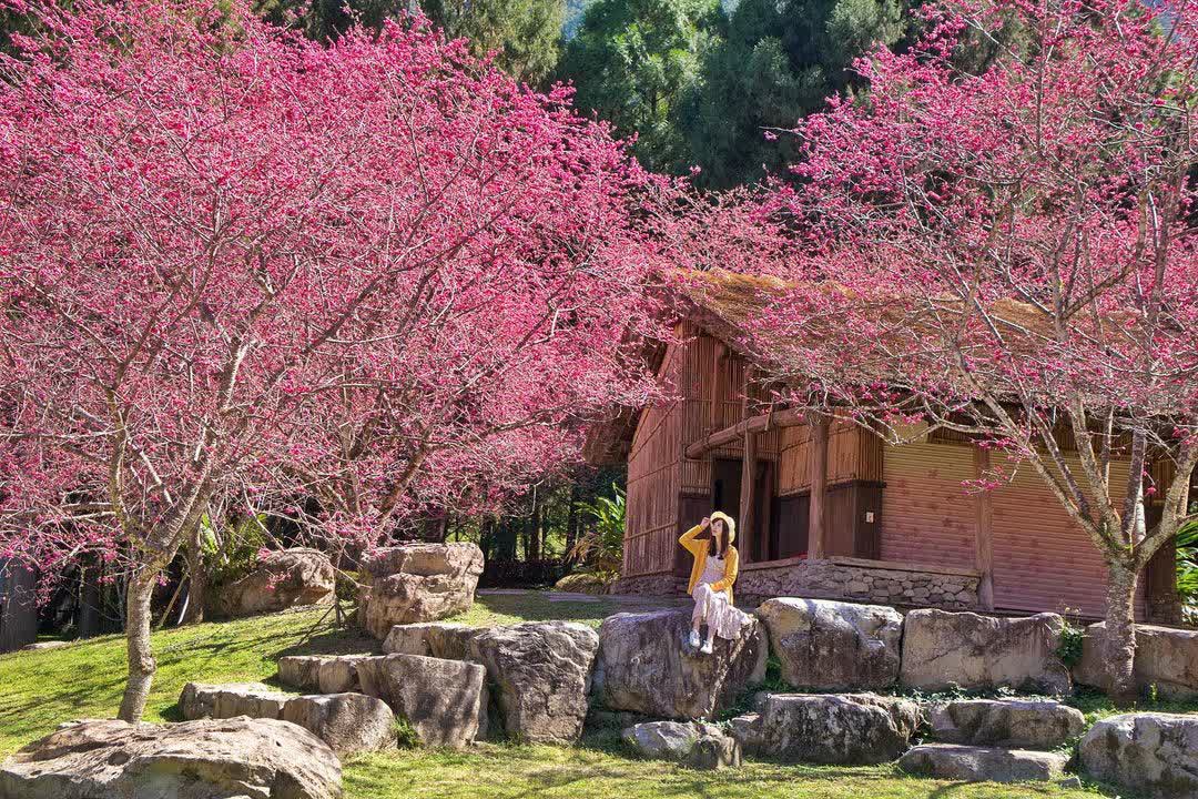 九族文化村 | 去趣 chicTrip