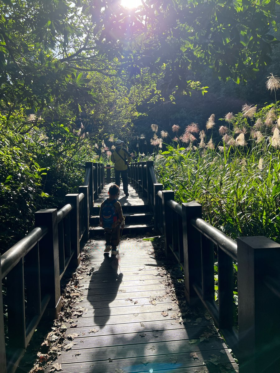 蓬萊溪護魚步道 | 去趣 chicTrip