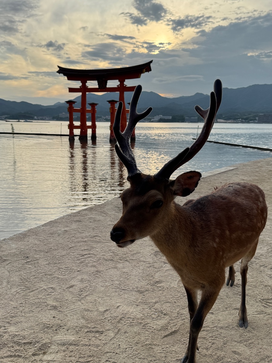 嚴島神社 | 去趣 chicTrip