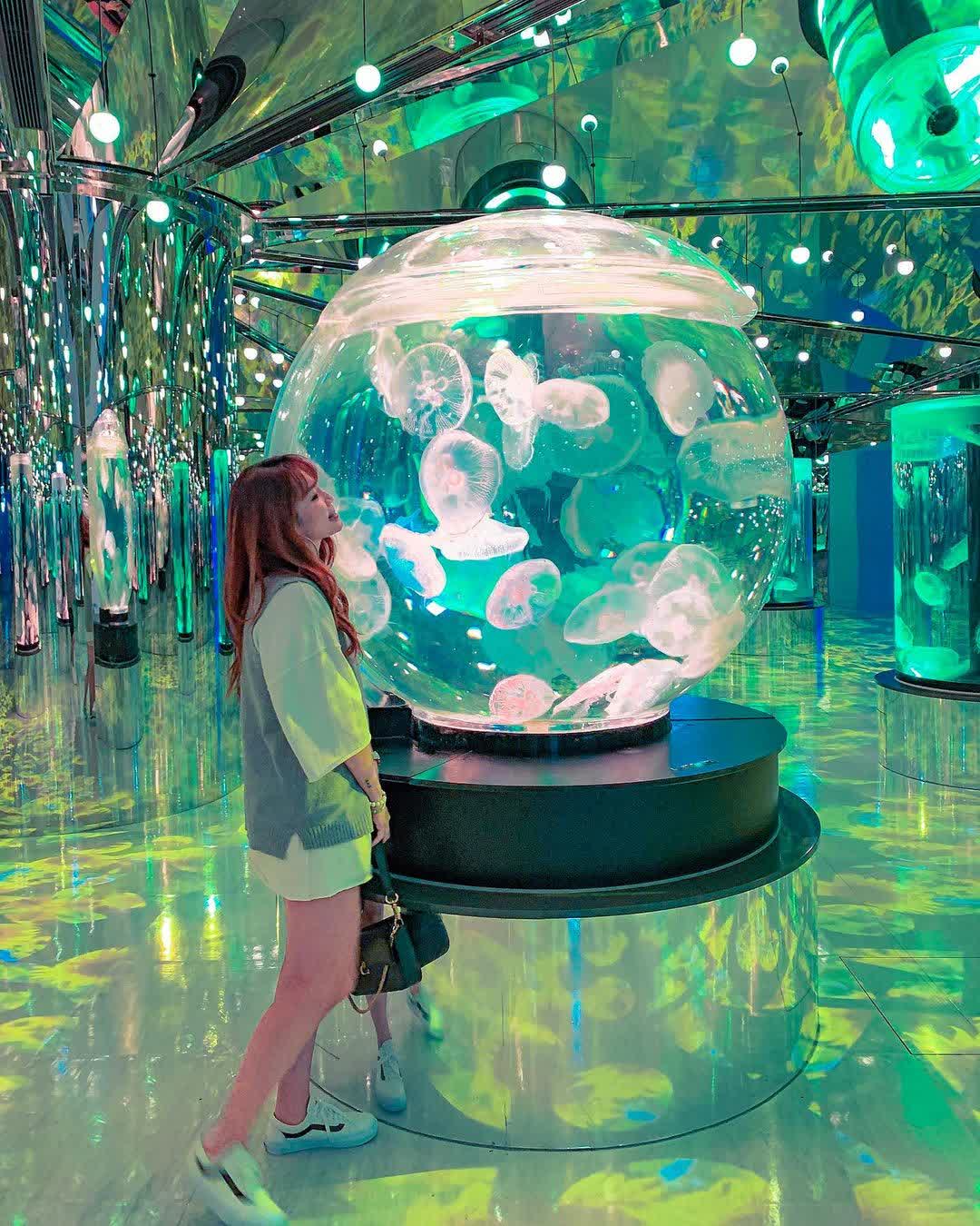 Xpark 水族館 | 去趣 chicTrip