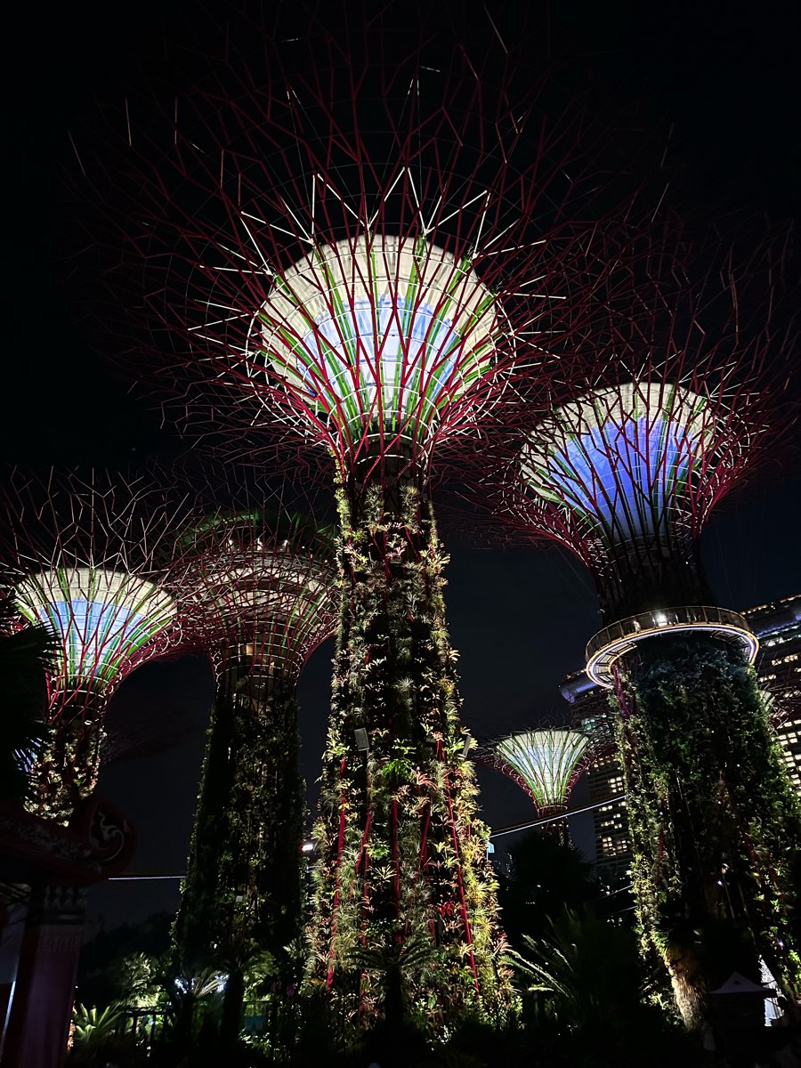 Supertree Grove | 去趣 chicTrip