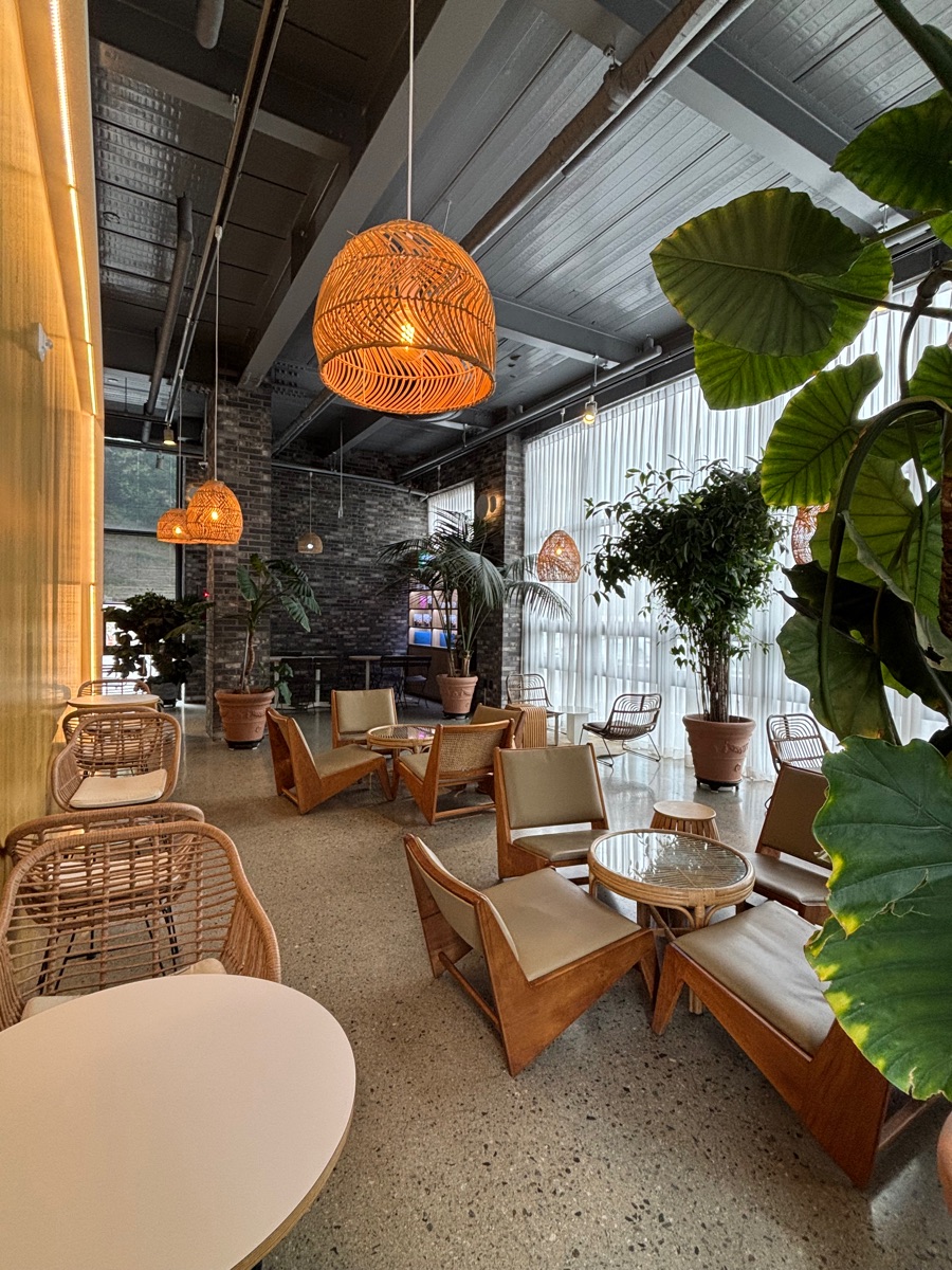 Treebring | 去趣 chicTrip