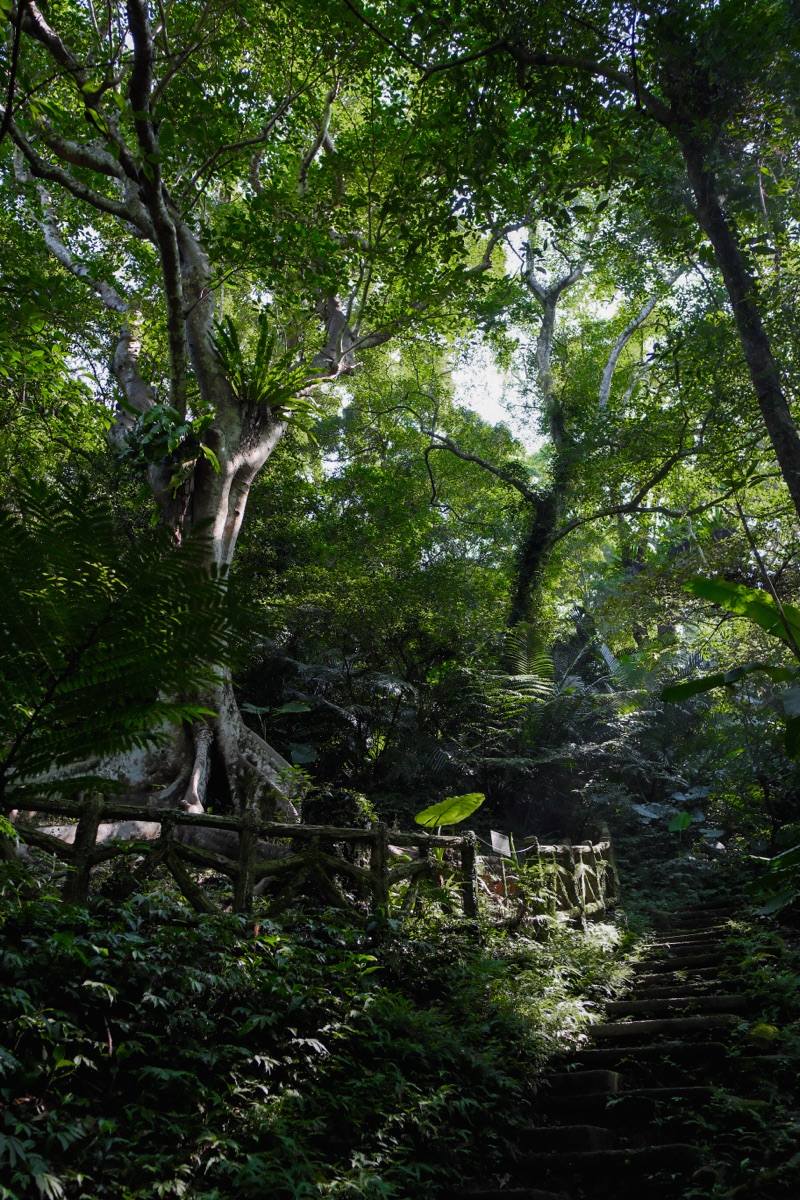 大板根森林溫泉酒店 | 去趣 chicTrip