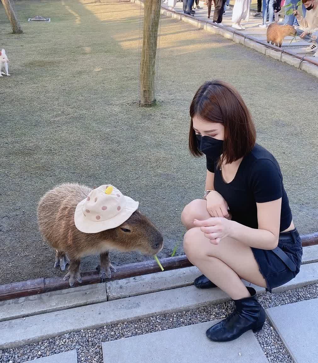 張美阿嬤農場（月森甯手作工坊） | 去趣 chicTrip