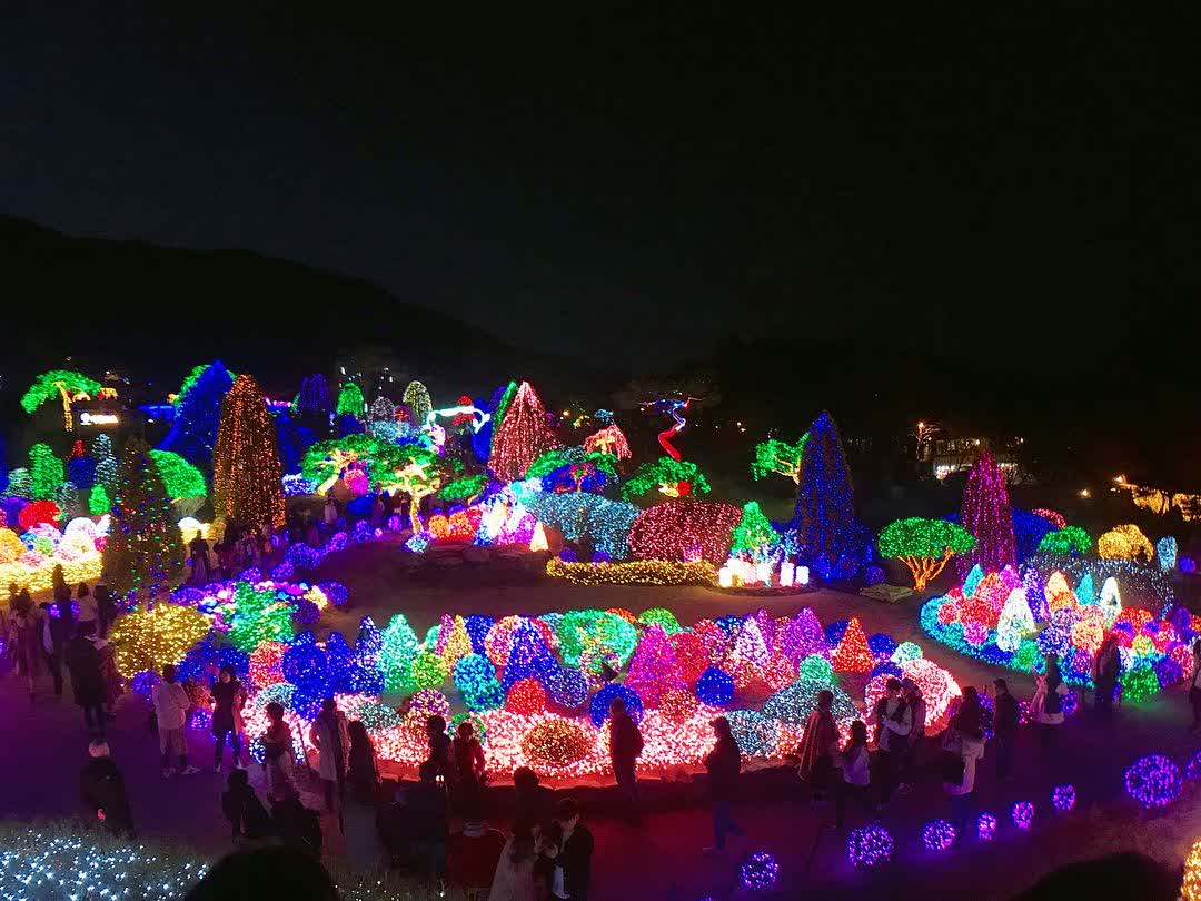 晨靜樹木園 | 去趣 chicTrip