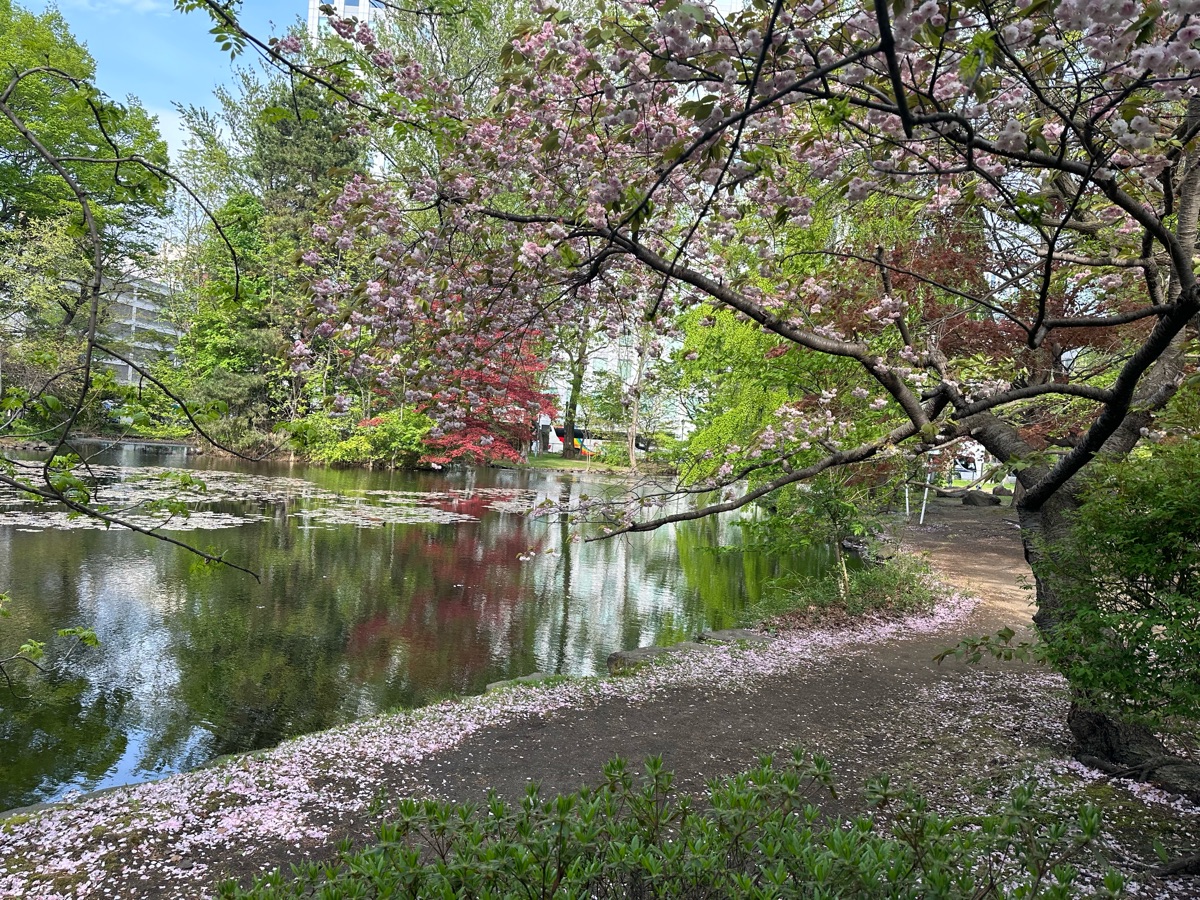 北海道廳本廳舍 | 去趣 chicTrip