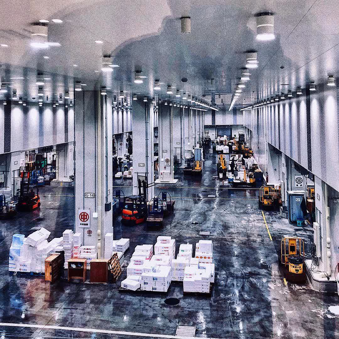 東京都中央批發市場 豐洲市場 水產仲介批發大樓 | 去趣 chicTrip