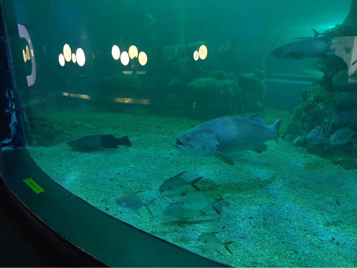 澎湖水族館 | 去趣 chicTrip