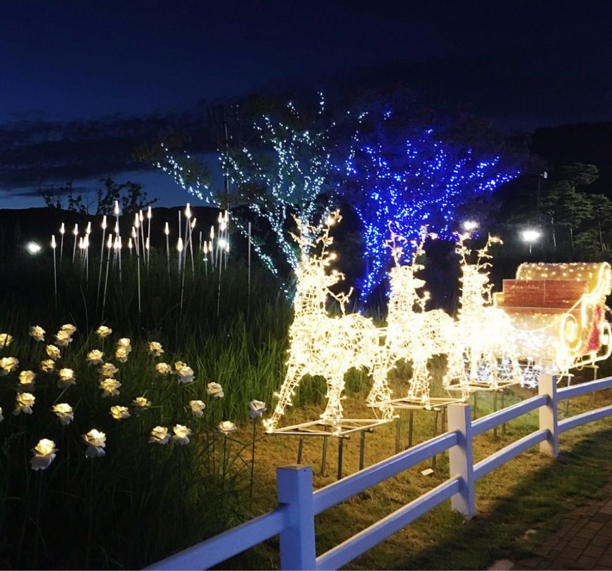 釜山慶南賽馬公園 | 去趣 chicTrip