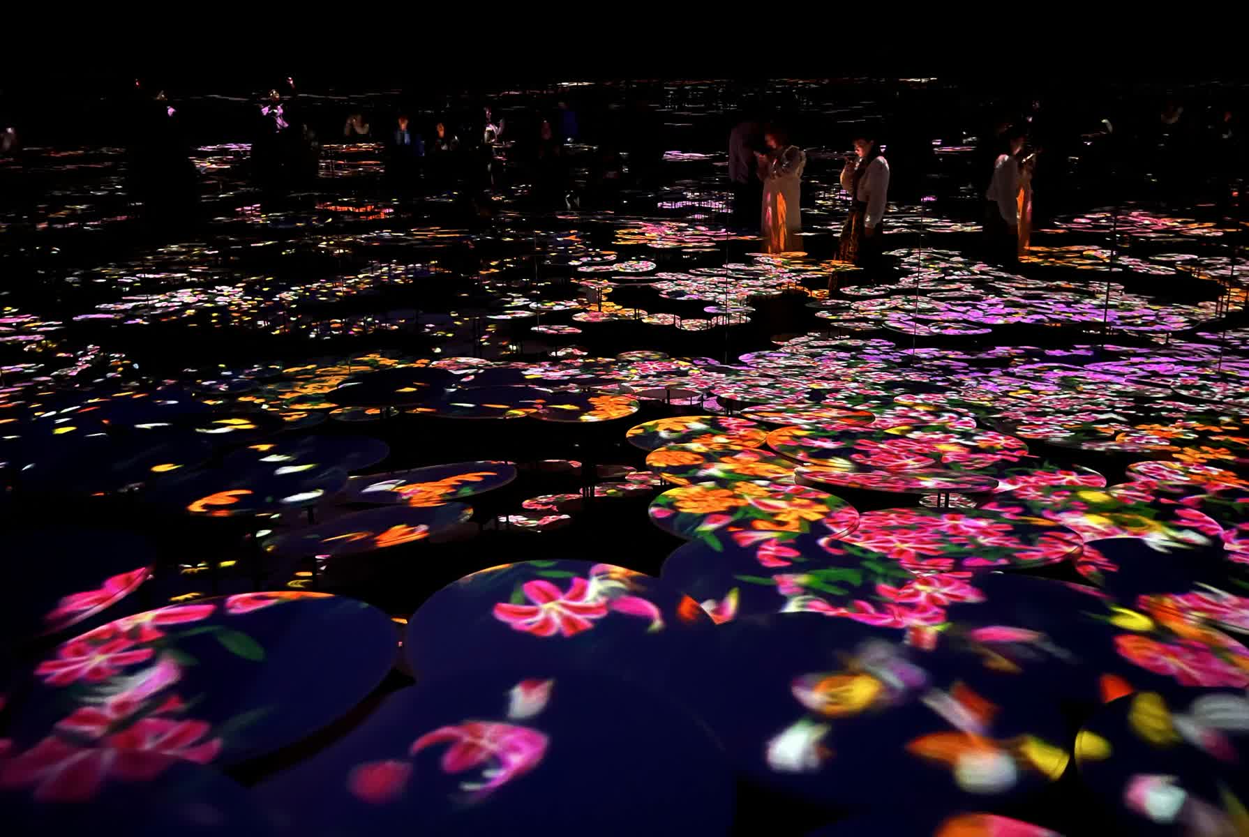 teamLab Borderless 數位藝術美術館 | 去趣 chicTrip