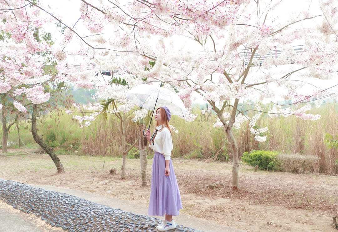 竹崎親水公園 | 去趣 chicTrip