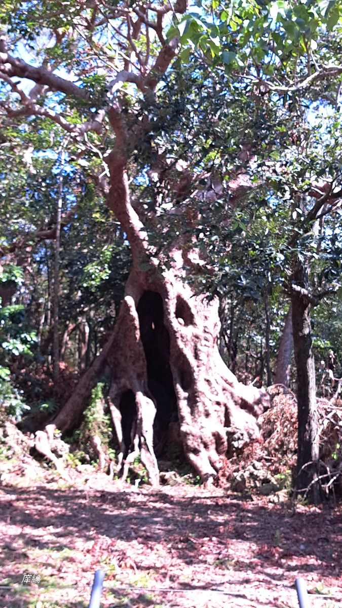墾丁國家公園 | 去趣 chicTrip