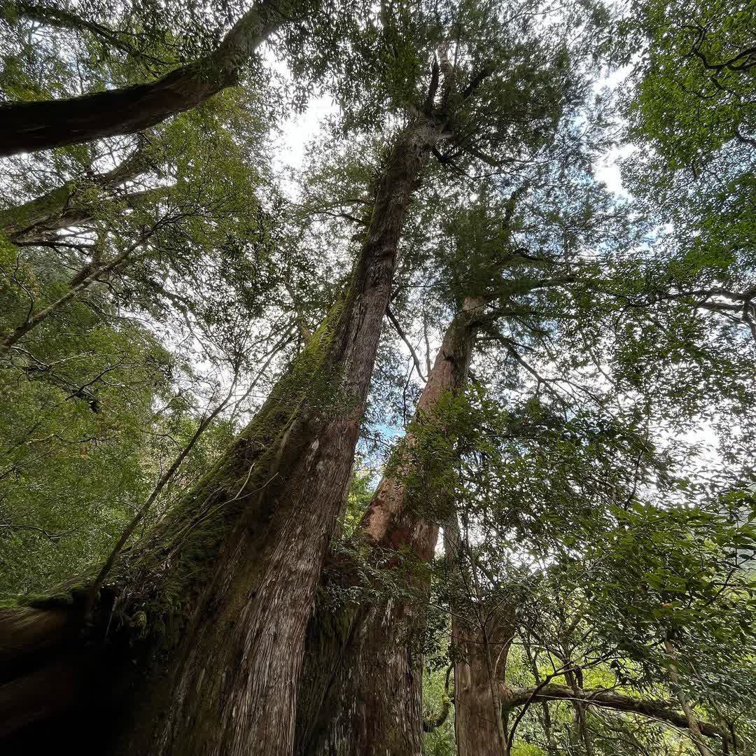 拉拉山 | 去趣 chicTrip