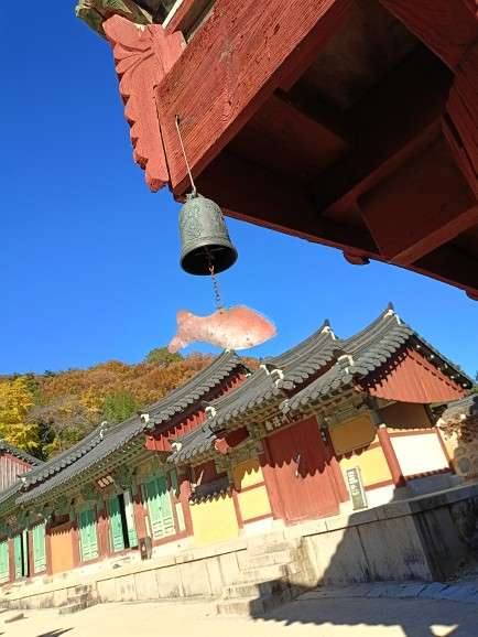 梵魚寺 | 去趣 chicTrip