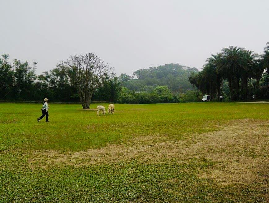 綠世界生態農場 | 去趣 chicTrip