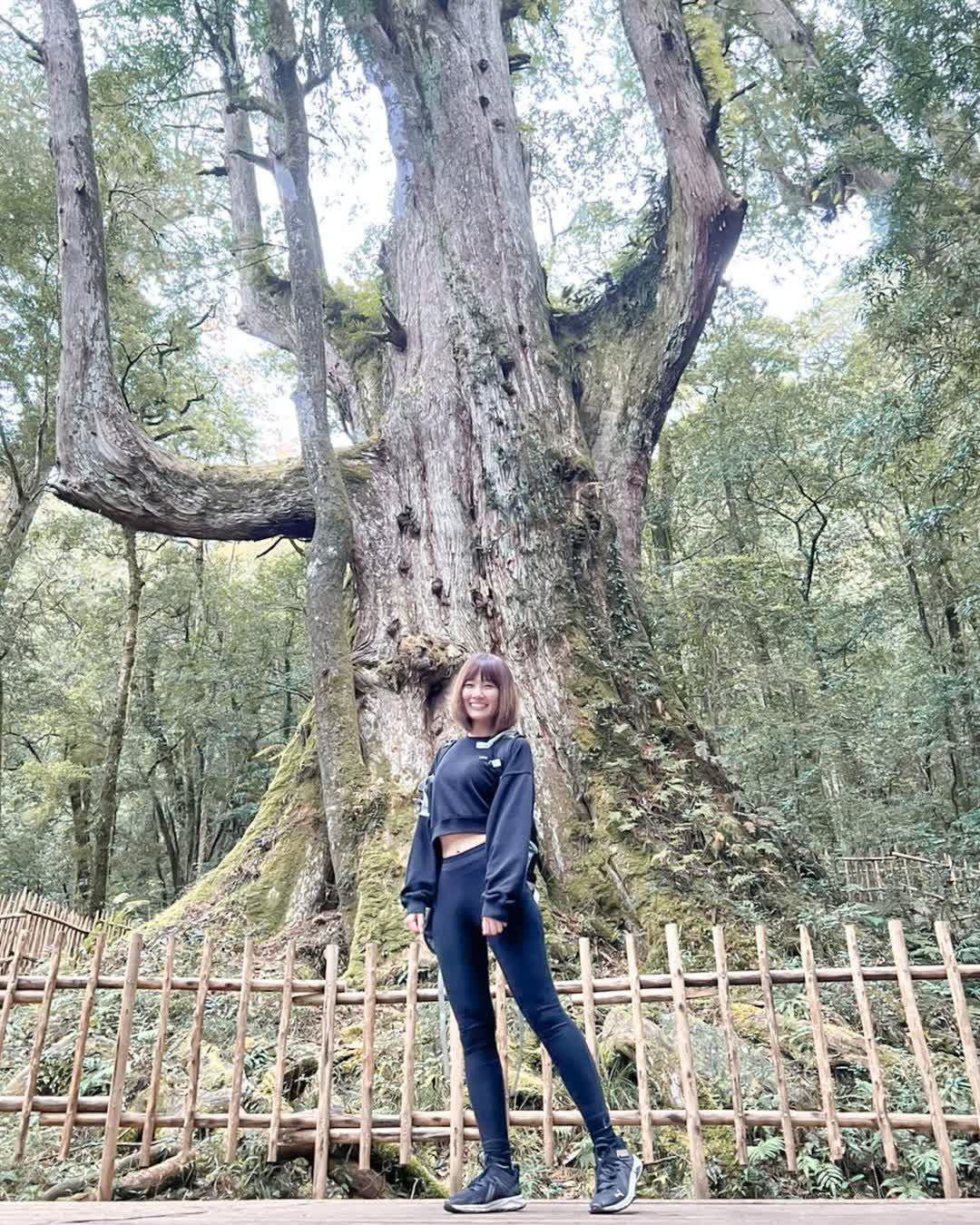 司馬庫斯 | 去趣 chicTrip