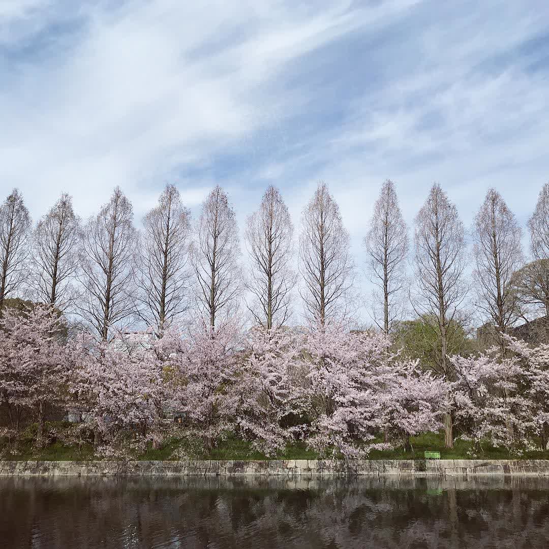 大阪城 | 去趣 chicTrip