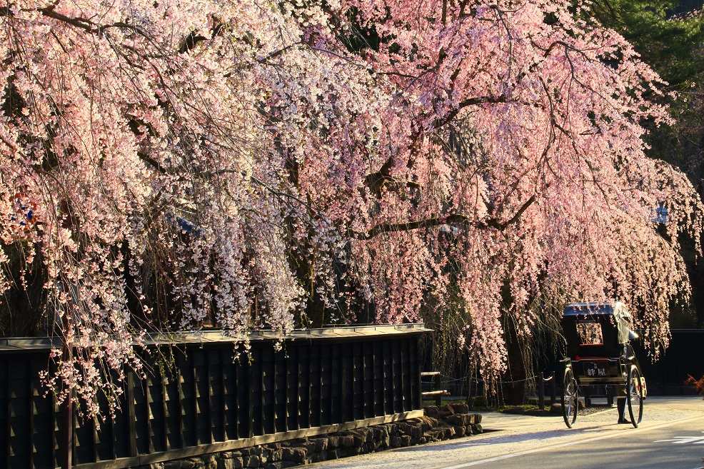 Kakunodate Samurai Residence Street | 去趣 chicTrip