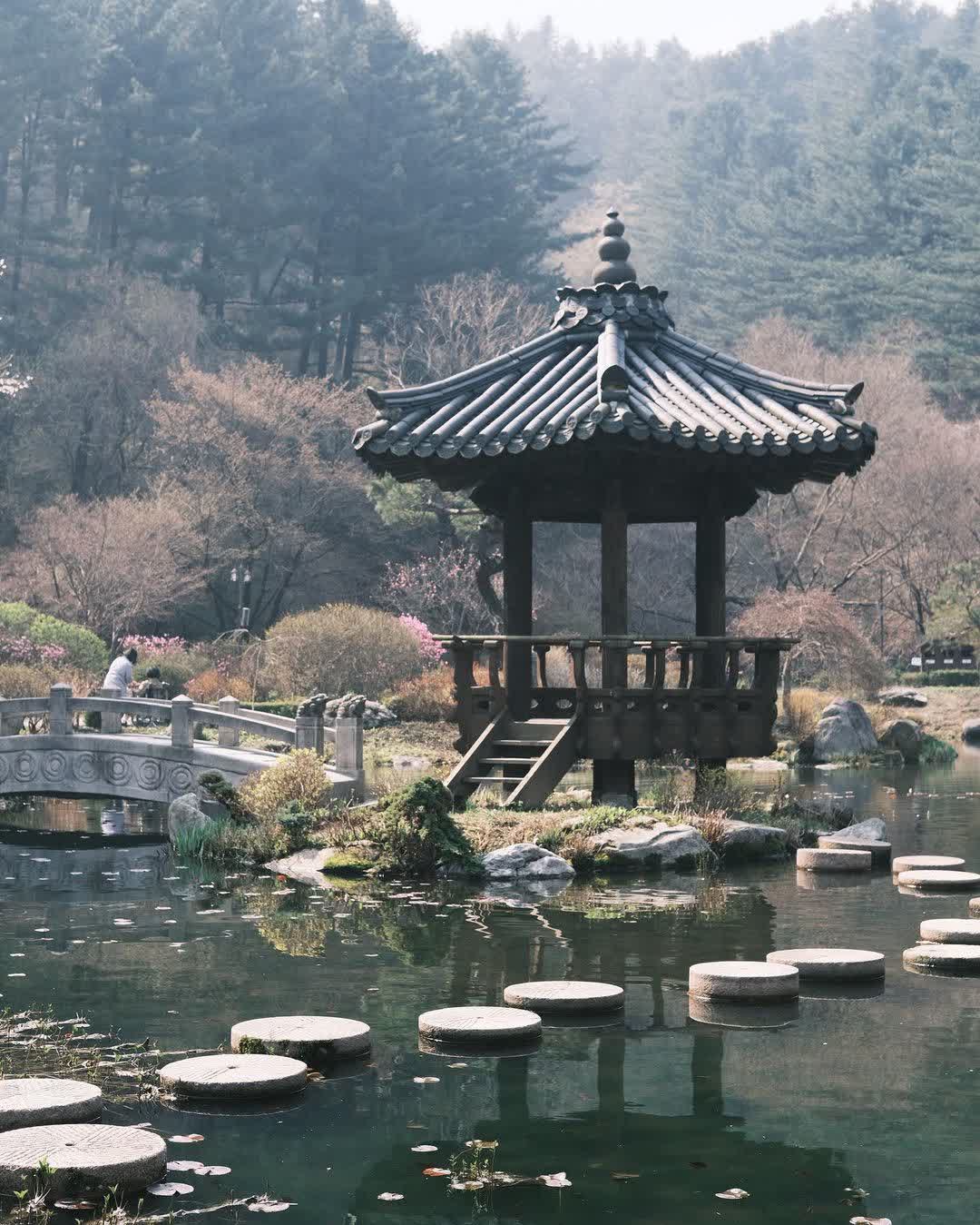 晨靜樹木園 | 去趣 chicTrip