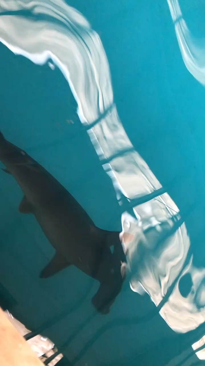 金車生技水產養殖研發中心 | 去趣 chicTrip