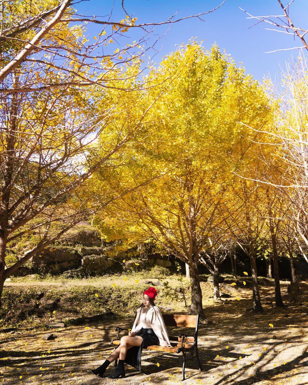 武陵農場 | 去趣 chicTrip