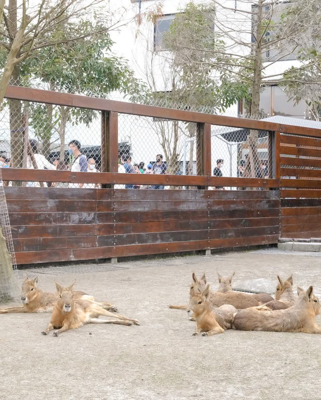 張美阿嬤農場（月森甯手作工坊） | 去趣 chicTrip