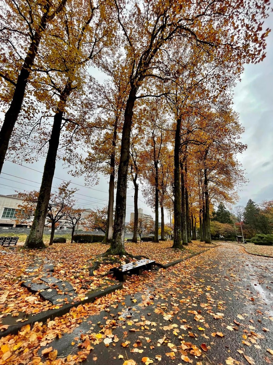 盛岡城跡公園（岩手公園） | 去趣 chicTrip