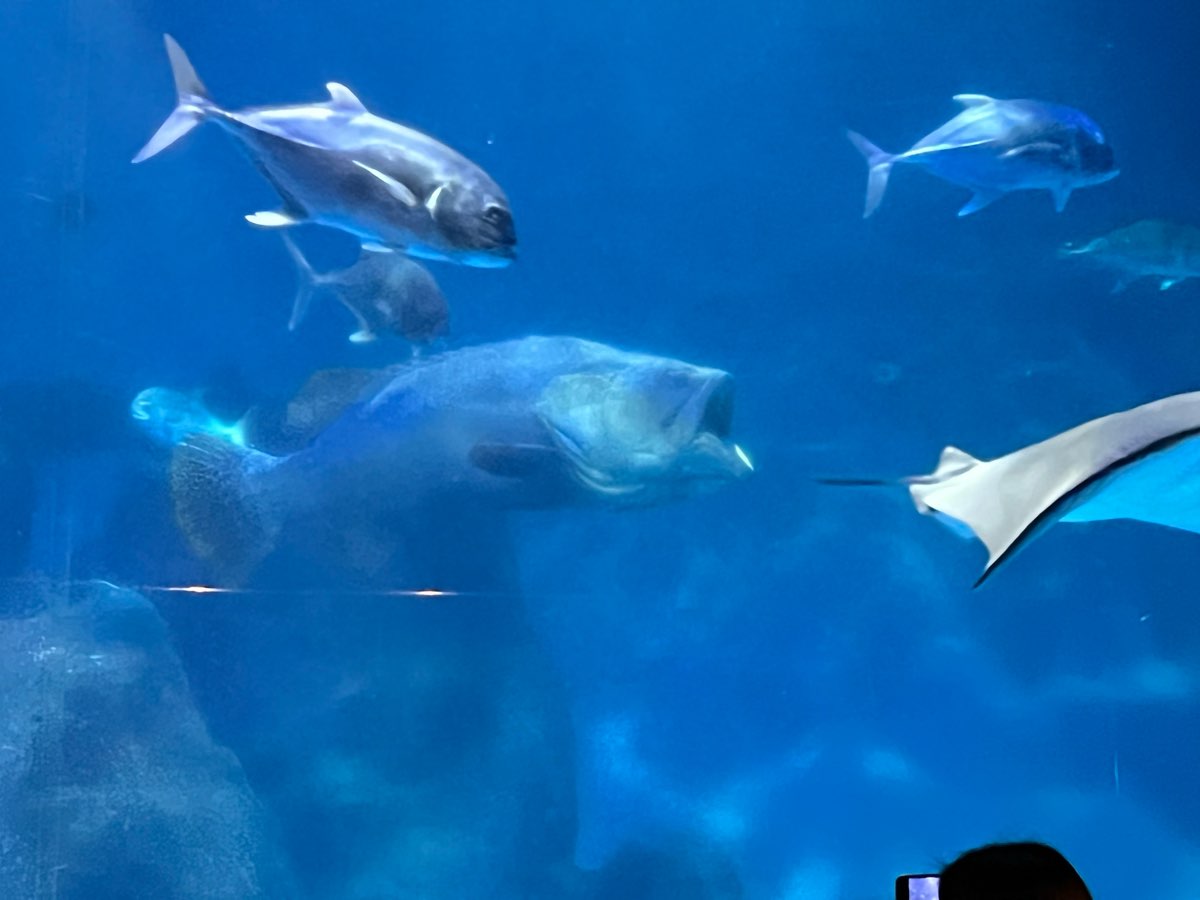 遠雄海洋公園 | 去趣 chicTrip