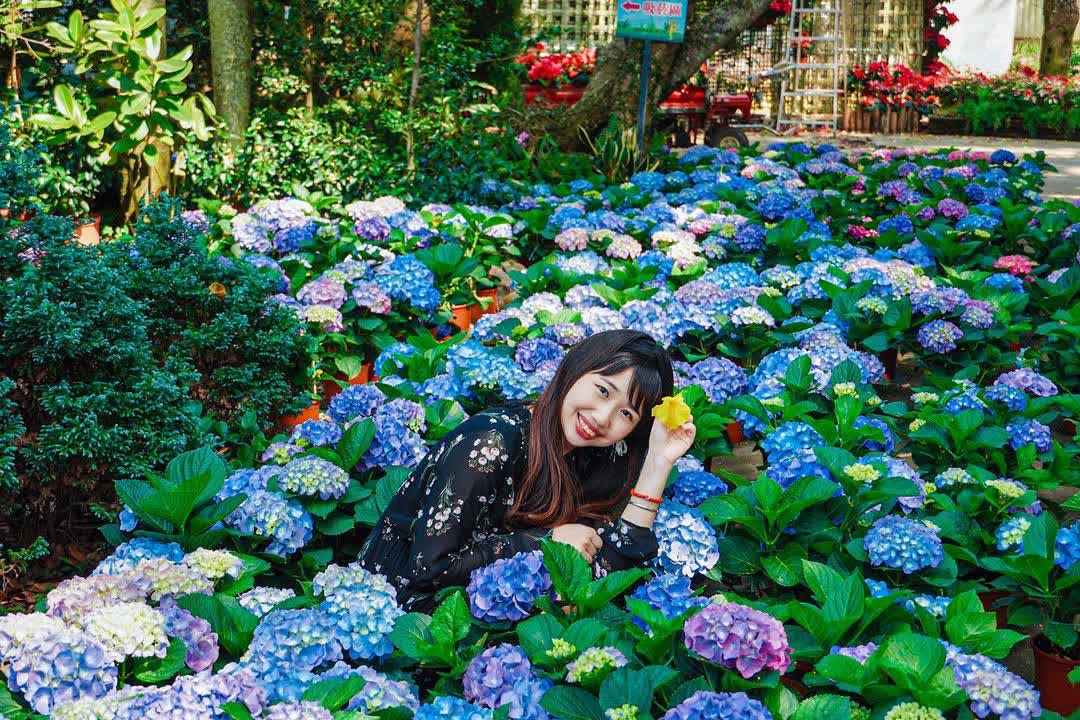 花露農場 Flower Home | 去趣 chicTrip