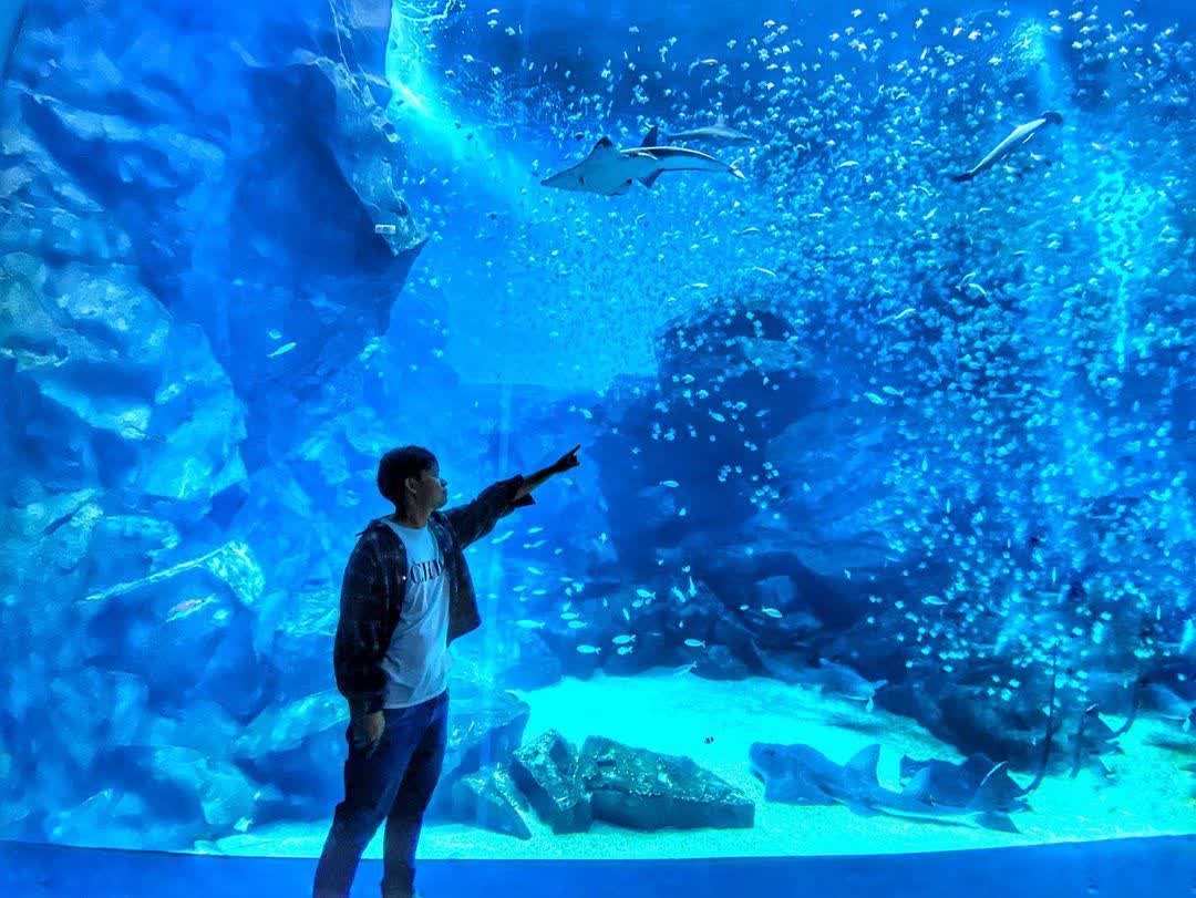 Xpark 水族館 | 去趣 chicTrip