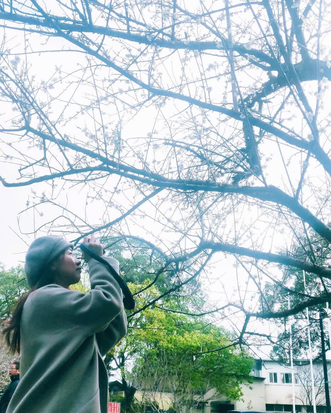 角板山行館 | 去趣 chicTrip