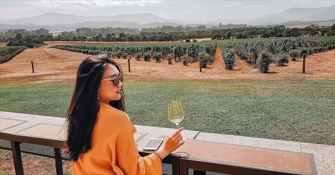 Domaine Chandon 葡萄酒酒莊