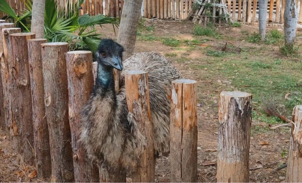 新竹市立動物園 | 去趣 chicTrip