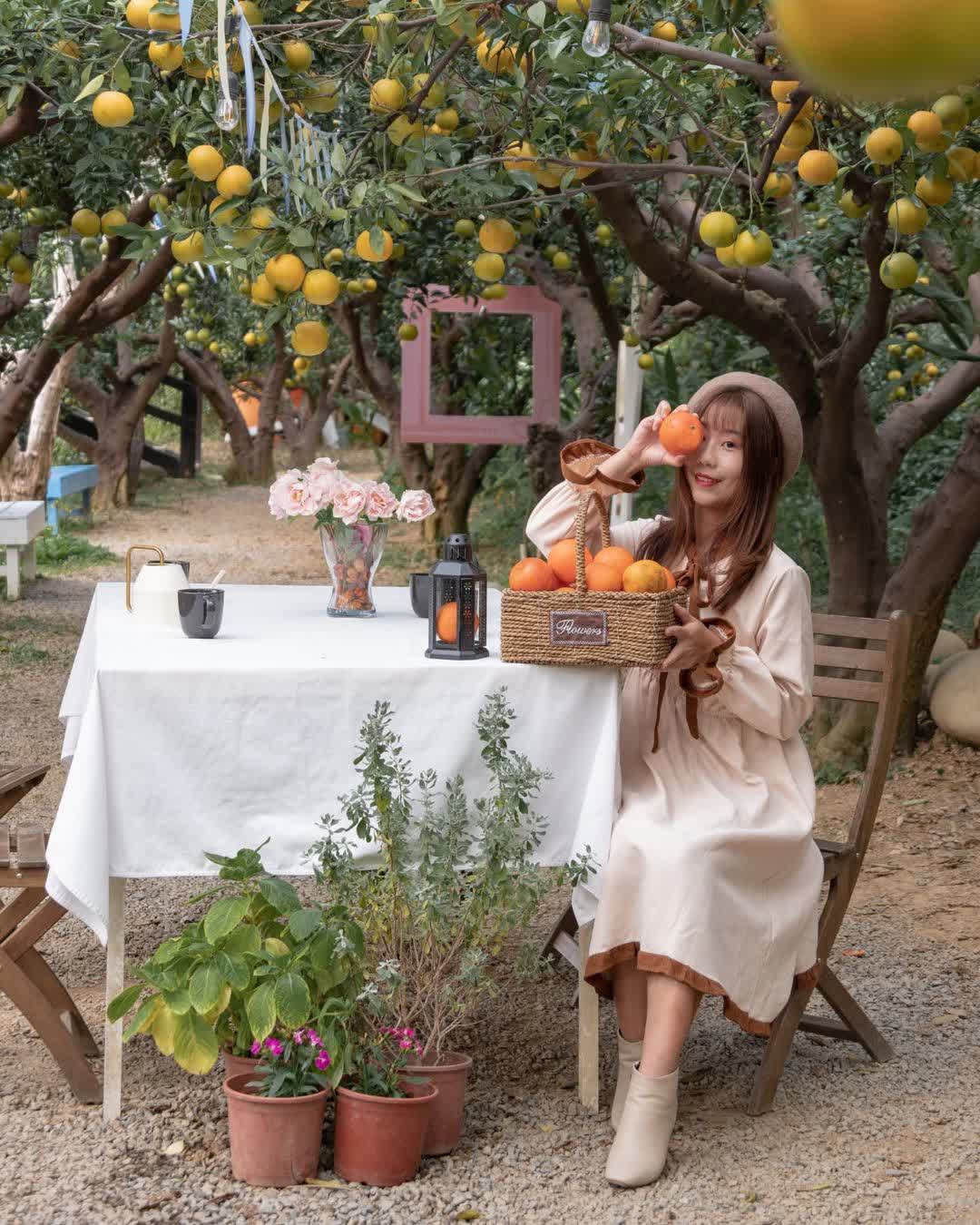 橙香森林 | 去趣 chicTrip