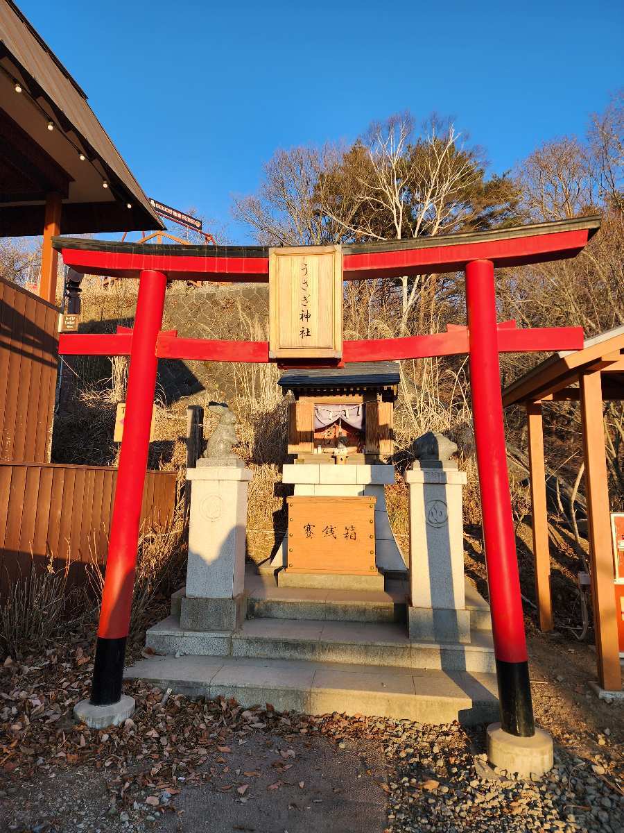 河口湖天上山公園 | 去趣 chicTrip