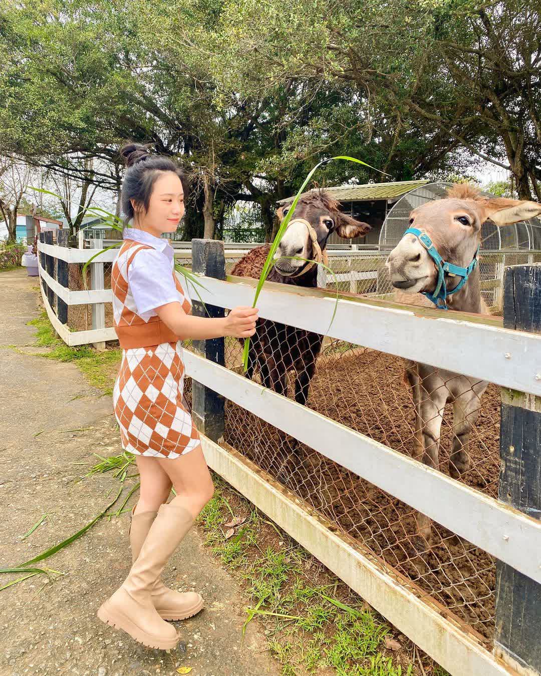 初鹿牧場 | 去趣 chicTrip