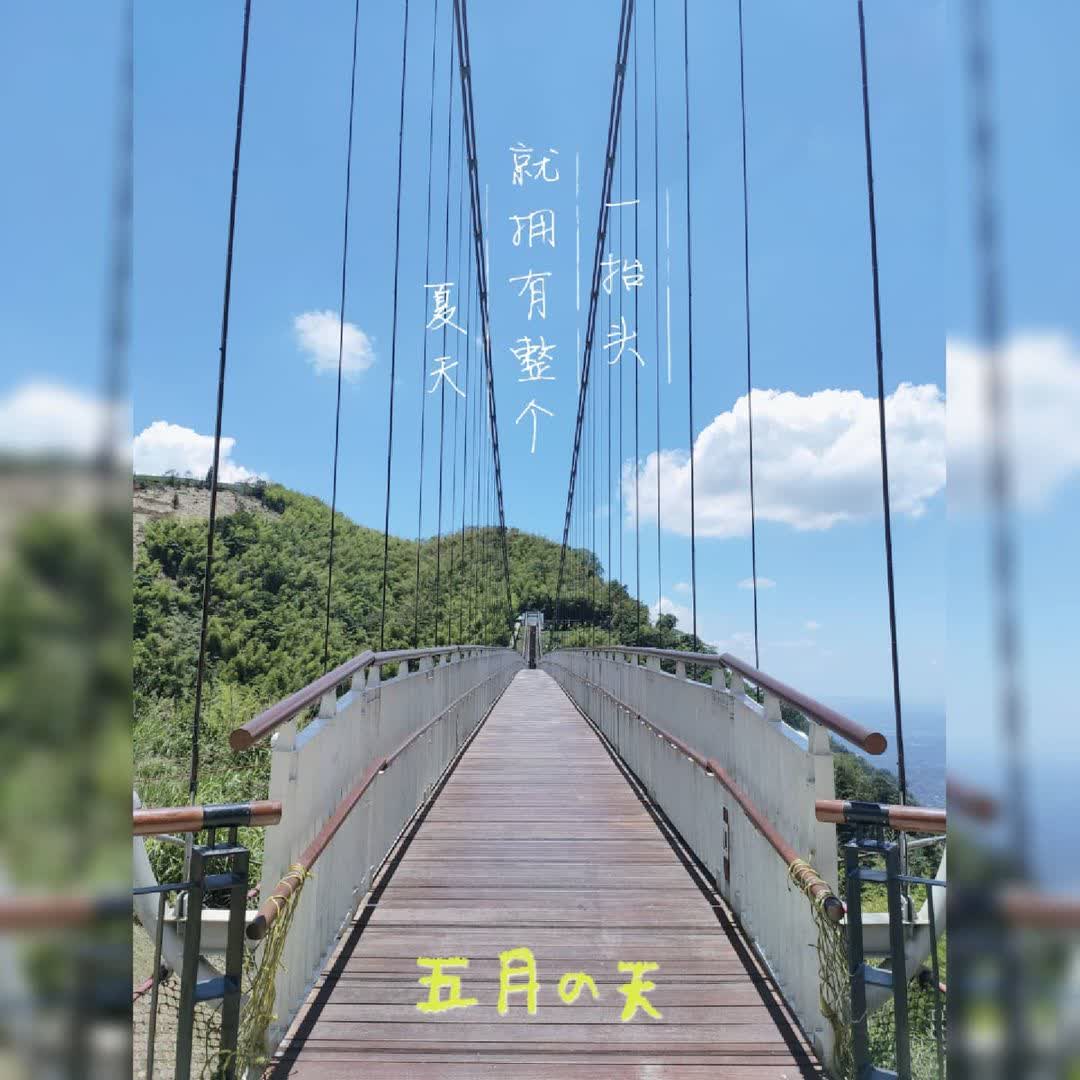 嘉義梅山太平雲梯 | 去趣 chicTrip