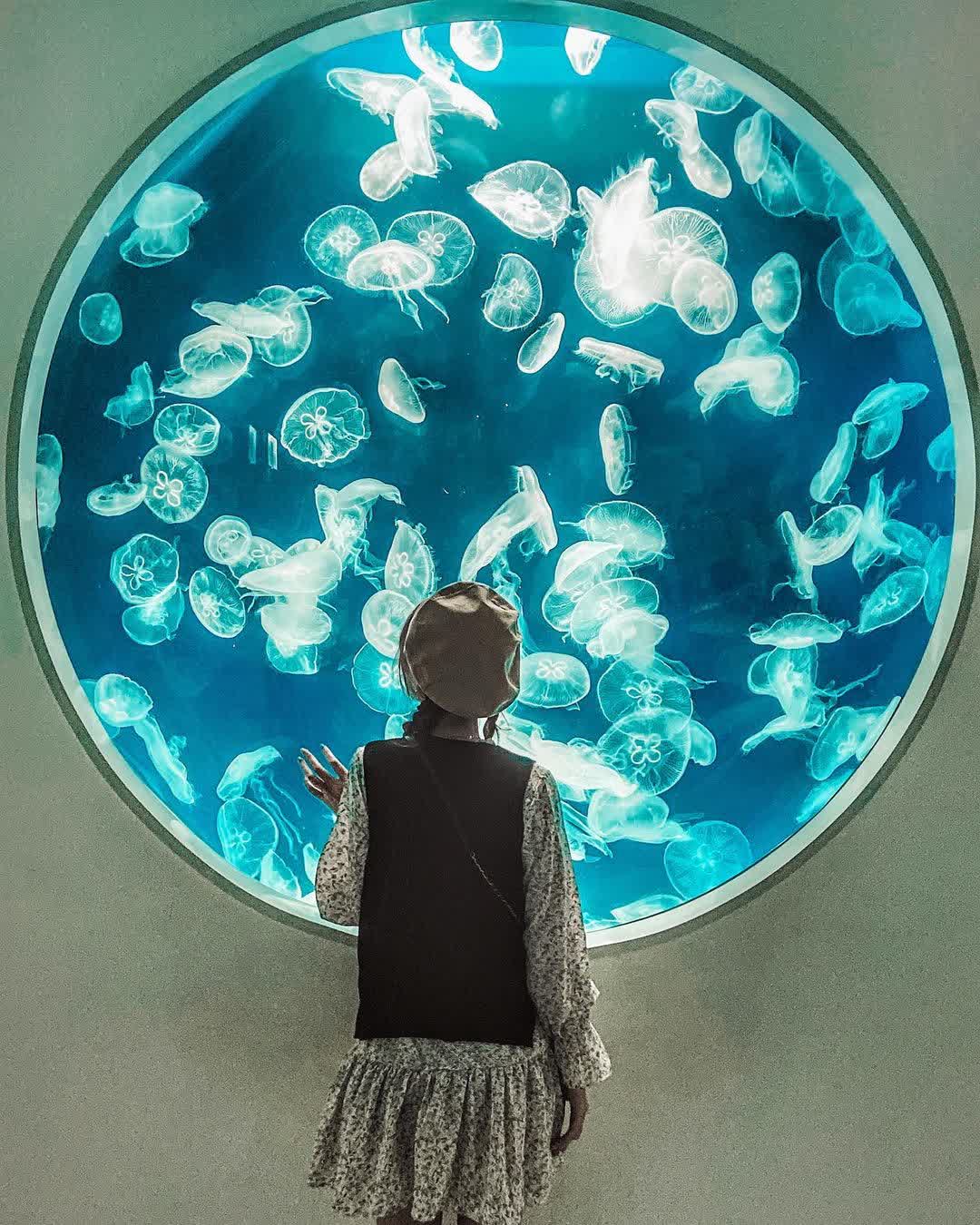 Xpark 水族館 | 去趣 chicTrip