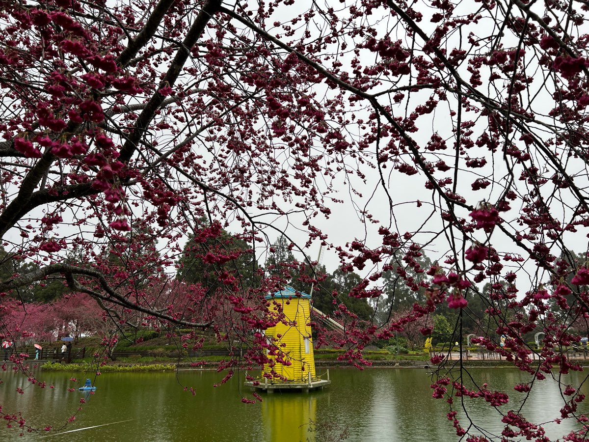 清境農場小瑞士花園 | 去趣 chicTrip