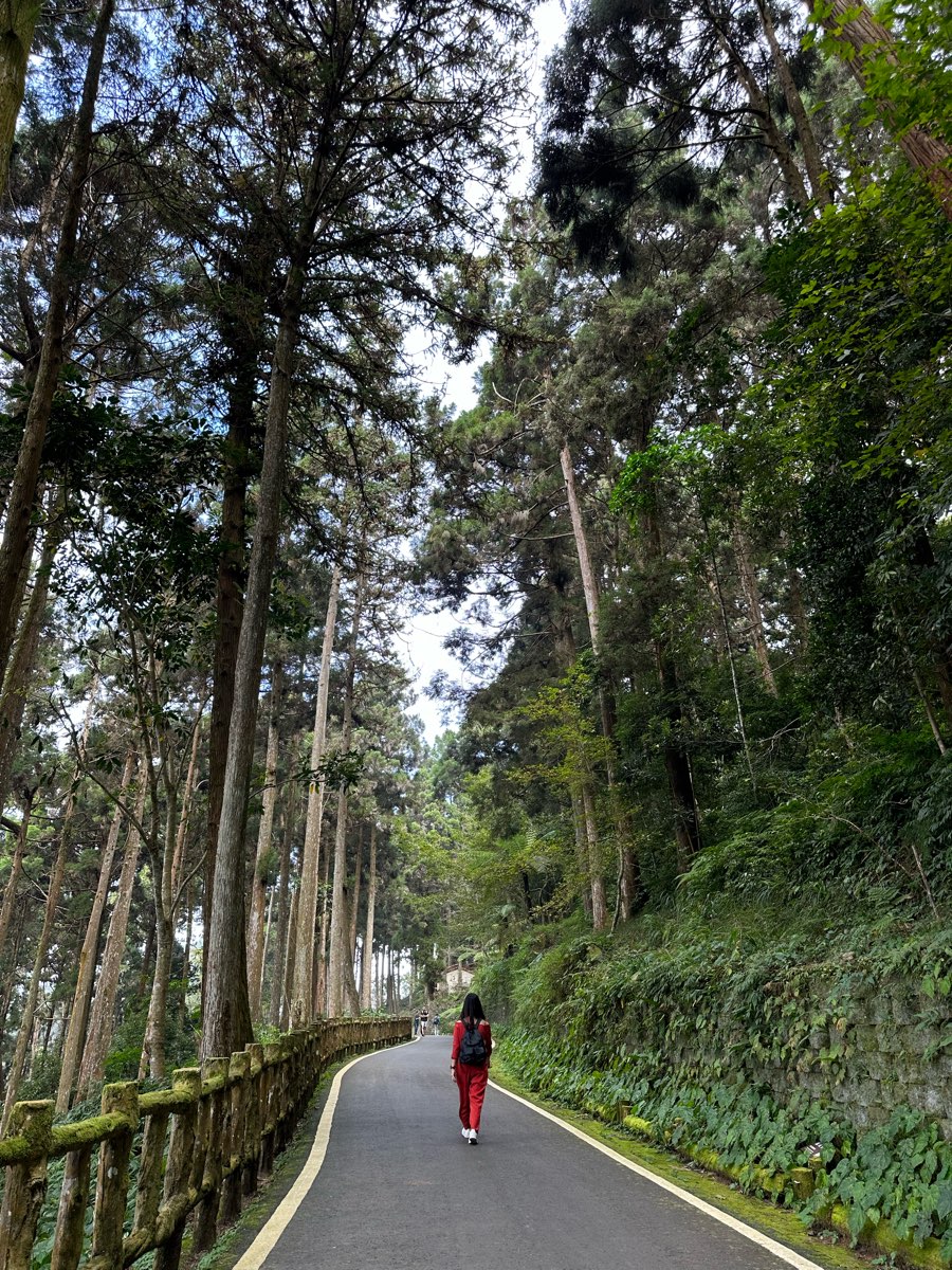 藤枝國家森林遊樂區 | 去趣 chicTrip