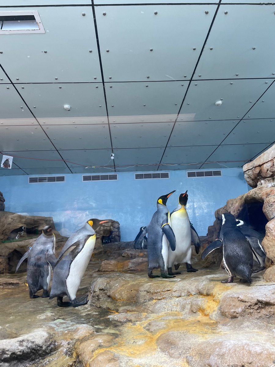 Xpark 水族館 | 去趣 chicTrip