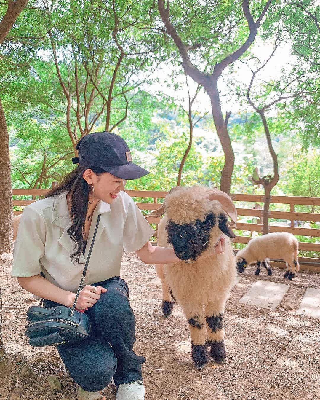 哈比丘茶樹森林 | 去趣 chicTrip