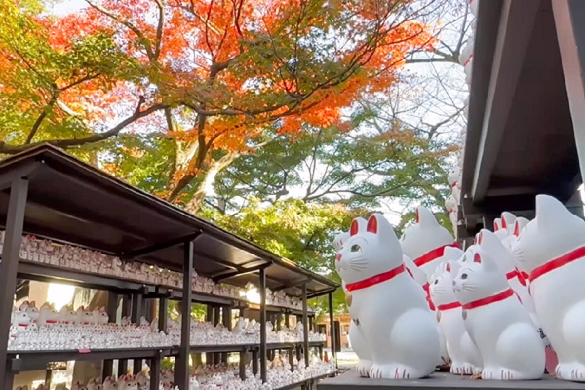 世田谷 豪德寺 | 去趣 chicTrip