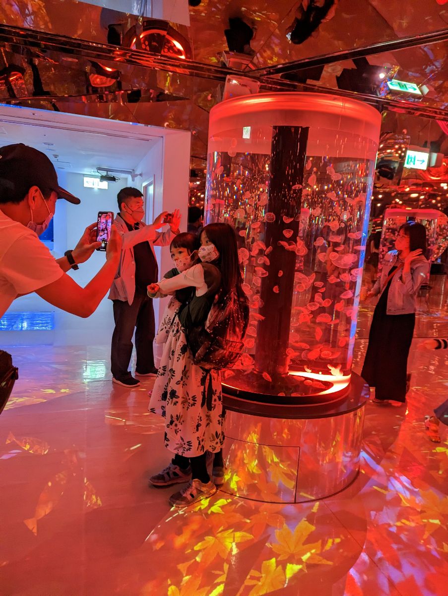 Xpark 水族館 | 去趣 chicTrip